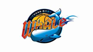 wnba赛程积分榜_wnba赛程积分榜免费观看_wnba赛程积分榜高清无插件直播